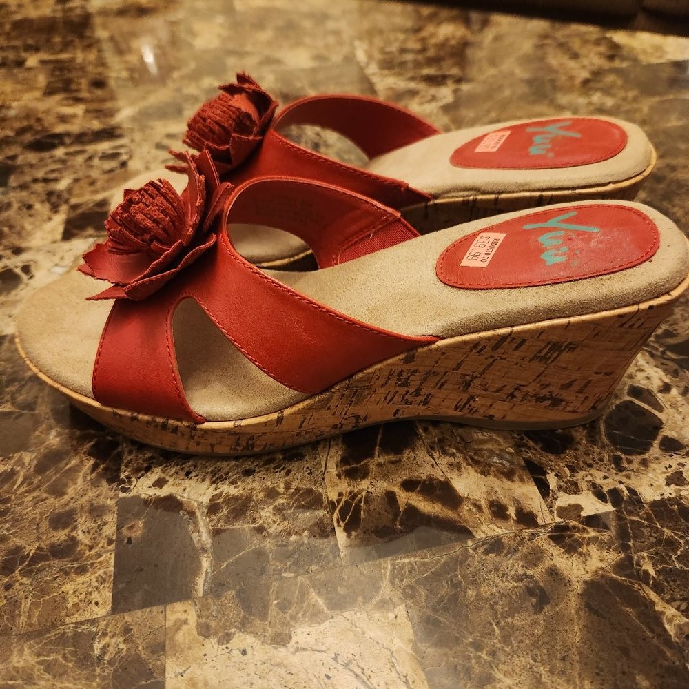 Red Wedges - Picture 5 of 6